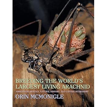 Breeding the World's Largest Living Arachnid: Amblypygid (Whipspider) Biology, Natural History, and Captive Husbandry Breeding the World's Largest Living Arachnid: Amblypygid (Whipspider) Biology, Natural History, and Captive Husbandry
