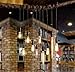 GOENDR Edison Bulb A19, Vintage Incandescent Light Bulbs - 60 Watt, Dimmable 2700K Warm Amber, E26/E27 Base, Squirrel Cage Filament - Antique Decor for Home, Table Lamp, Restaurant, 4Pack