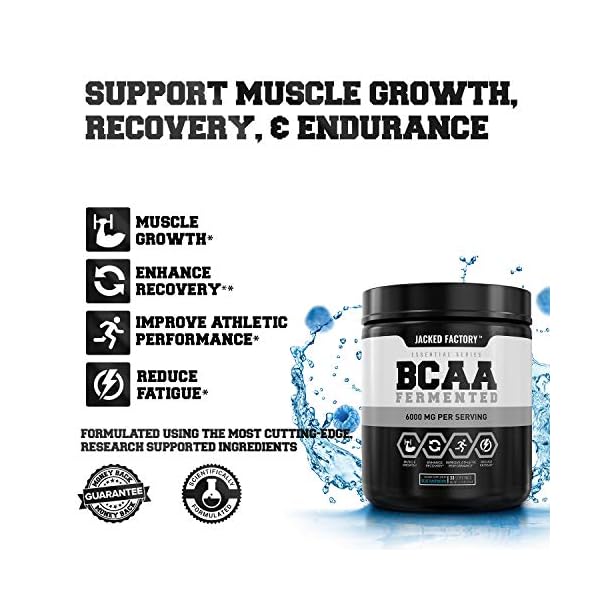 BCAA Powder (Fermented) 6g Branched Chain Essential Amino Acid