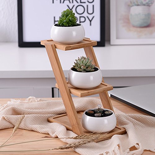 Youfui White Ceramic Succulent Plant Pot, Planter for Succulent Plants, Small Cactus and Herbs with Bamboo Tray (Round White with Stand)