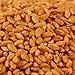 Certified Organic Non-GMO Wheatgrass Seeds - 1 LB Wheat Seed - Guaranteed to Grow