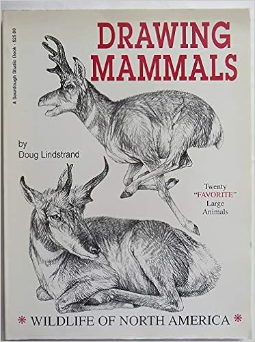 Drawing Mammals Lindstrand Doug 9781928722007 Books Amazon Ca