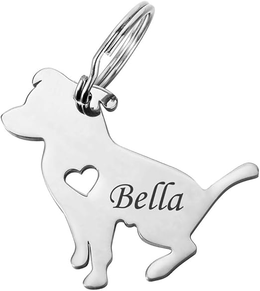 con Silueta de Perro Salchicha y Placa Conmemorativa de Acero