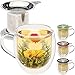 Teabloom Double-Wall Borosilicate Glass Mug with Stainless Steel Infuser and Lid – 15 OZ / 430 ML – 2 Gourmet Tea Flowers Included – Available in 4 Colors