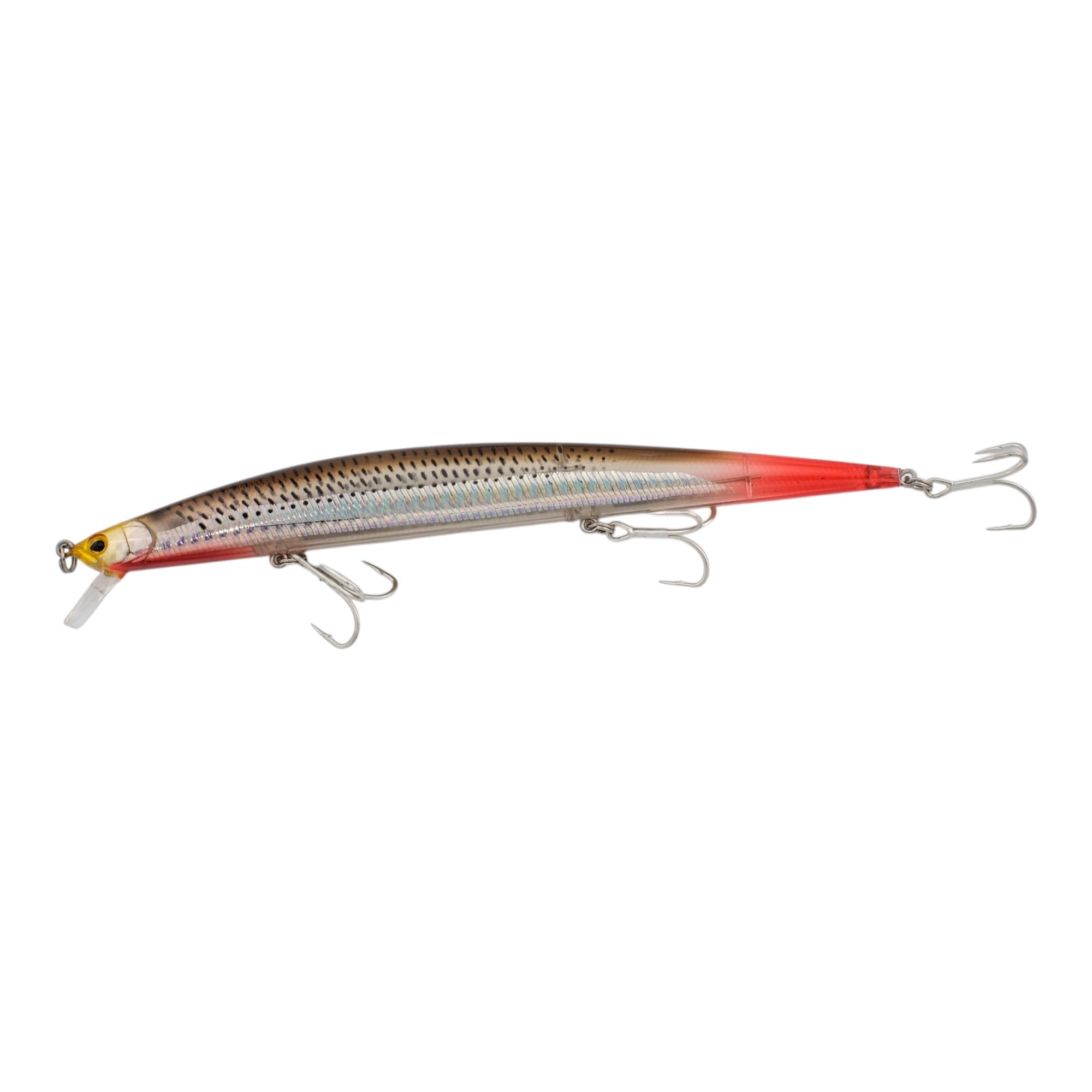 momolures - Tide Shore Minnow 175 26g Floating Silent Weight Transfer System for Bass, Seabass, Salmon Fishing (CLEAR MULLET RED TAIL)