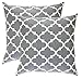 TreeWool Trellis Accent Spring Summer 20x20 Set of 2 Decorative Throw Pillow Covers 100% Cotton Home Decor Pillowcases for Sofa Couch (Graphite Gray)