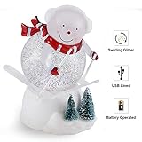 pearlstar Christmas Snow Globe Lighted Snowman Glitter Swirling Water Snowglobe Holiday Night Lights for Christmas Home, Living Room Decoration, Battery or USB Powered (Snowman)