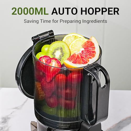 AMZCHEF Automatic Cold Press Juicer Machines 250W Liberate Your Hands -145MM Opening and 2L Capacity Slow Juicers for Whole Fruit and Vegetable, with Triple Filter, Safety Lock, Classic Black