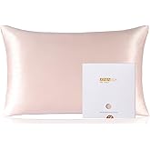 ZIMASILK 100% Pure Mulberry Silk Pillowcase for Hair and Skin Health,Soft and Smooth,Both Sides Premium Grade 6A Silk,600 Thread Count,with Hidden Zipper,1pc (Queen 20''x30'',Pink)