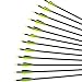 Narchery Recurve Bow Arrows, Carbon Hunting Arrows, Traditional Bow Arrows for Compound Bow, Long Bow, 12 Pcs