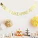 LOVELY BITON™ Gold Party Like A Pineapple Letters Banner Decoration Kit Themed Party Banner for Birthday Wedding Showers Photo Props Window Decor
