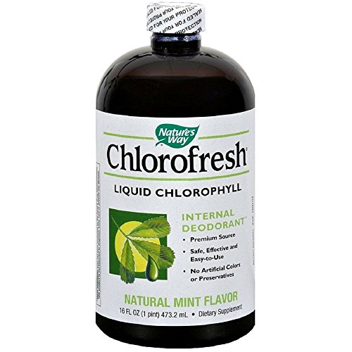 Nature's Way Chlorofresh Liquid Chlorophyll Internal Deodorant, Natural Mint Flavor 16 oz (6 pack)