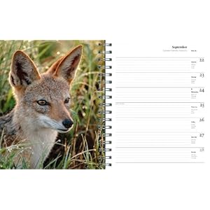 Frans Lanting. Okavango 2014 (Taschen Spiral Diaries)