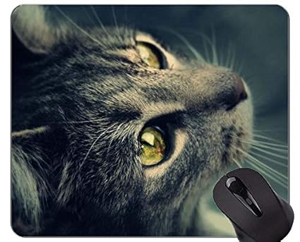 Gaming Mouse Pad Benutzerdefinierte, lustige Tierkatze Home Office Computerzubehör Mousepads