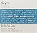 Skyn Iceland Nordic Skin Resurfacing Facial Pads With Alpha-Beta Complex Exfoliation & Brightening Targets Fine Lines and Discoloration, 60 Pads