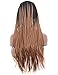 BLUPLE Micro Braided 2 Tone 1B 30 Synthetic Lace Front Wigs Heat Resistant Hair Black Root Ombre to Medium Auburn Color Lace Wig with Baby Hair for Black Women (24 inches, Micro Braided,T1B/30)