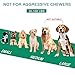 Dog Toothbrush Stick for Dental Oral Care, Dog Chew Toothbrush, Dog Chew Toys for Small Medium Dogs