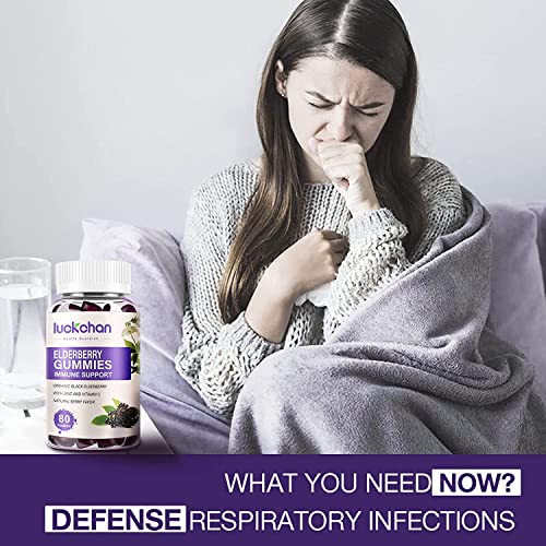 3 Pack High Potency Elderberry Gummies with Zinc - Black Elderberry Pectin Vitamin C - Echinacea - Immunity Support Dietary Herbal Supplements - Adult & Kids - Made in USA