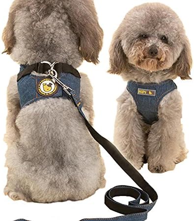 LPET Comfortable Denim Dog Vest Harness Matching Leash Pet Chian Set Quick Release for Teddy Small Dogs (M)