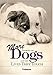 More Stories Of Dogs and the Lives They Touch by Peggy Schaefer