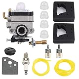 Hayskill 16100-ZM5-803 Carburetor Replace 16100-ZM5-A95 16100-ZM3-848 for Honda GX31 GX22 FG100 4 Stroke Engine Leaf Blower HHE31C HHT31S Edger WX10 Water Pump