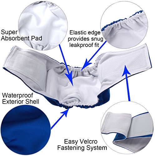 image for IN HAND Washable Male Dog Diapers(Pack of 3), Premium Reusable Belly B