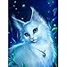 Diy 5d Diamond Embroidery Painting,Vanvler Rhinestone Pasted Painting Cross Stitch Animals (G White Cat, 20/25cm)