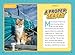 National Geographic Kids Chapters: Adventure Cat! (NGK Chapters)