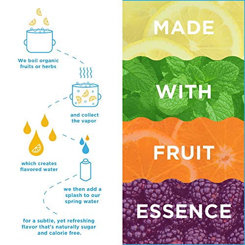 JUST Water Flavor Sampler Pack | Spring Water Infused with Organic Fruit - Eco-Friendly Boxed Bottled Water | Zero Sugar, Artificial Flavors,or Sweeteners, Alkaline pH of 8.0 | 16.9 fl oz (Pack of 12) - Thumbnail 2