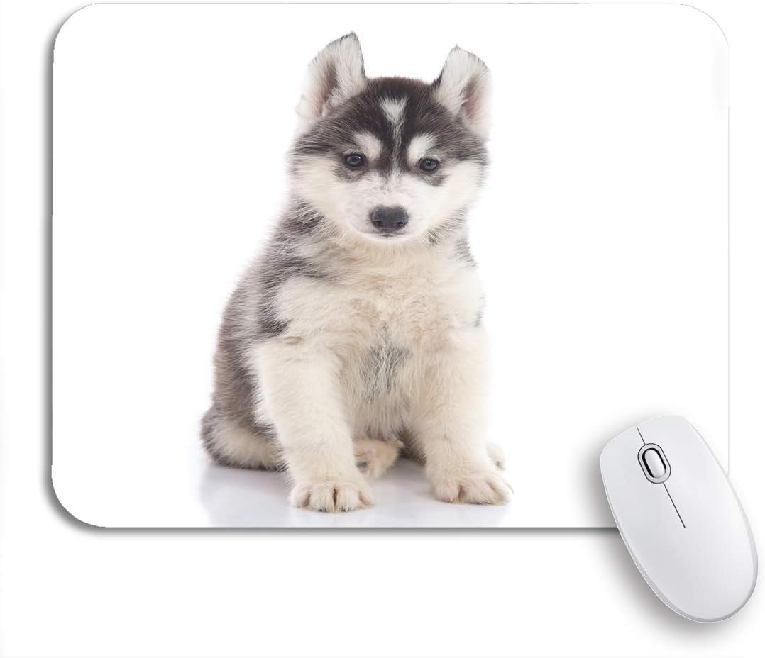 Amazon Ecomaomi 可愛いマウスパッド 茶色の愛らしいかわいいシベリアンハスキー子犬が動物の滑り止めゴムの上に座ってノートブックマウスマットのためのコンピューターのマウスパッドをバッキング Ecomaomi マウスパッド 通販