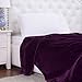 Bedsure GentleSoft Fleece Blankets Queen Size Purple - Bed Blanket Soft Lightweight Plush Fuzzy Cozy Luxury Microfiber, 90x90 inches