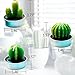 Cactus Tealight Candles Handmade Delicate Succulent Tea Light For Home Birthday Party Wedding Decor 6 Pcs