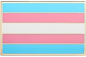 Arturbo Pride Flag LGBTQ Rainbow Enamel Lapel Pins Metal Brooches Funny Badges for Clothing Bags Backpacks Hats Gifts Decoration