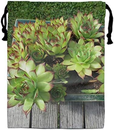 Earth Common Houseleek Drawstring Bags Party Favors Pouch Tote Bag Sack for Girls Boys