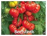 Beefsteak Organic Heirloom Tomato Seeds 100 Plus by