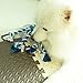 Dog Cotton Rope Toys, Bondpaw Dog Interactive Chew Toys with TPR Round Ring for Dog Chewing and Training Handle