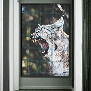 signwin Framed Canvas Wall Art Cat Animals Cat...