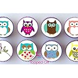 X24 1 5 Barn Owl Birthday Cup Cake Toppers Decorations On Edible
