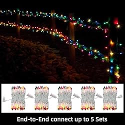LAMPHOME Christmas String Light,100 Count