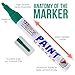 U.S. Art Supply 18 Color Set of Medium Point Tip Oil Based Paint Pen Markers - Permanent Ink that Works on Most Surfaces Glass, Wood, Metal, Rubber, Rocks, Stone, Arts, Crafts & Tools
