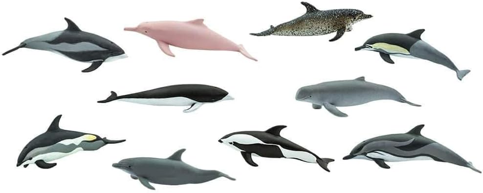Safari - Animal Dolphins, Multicoloured (S100475), Small/Miniature - Image 3