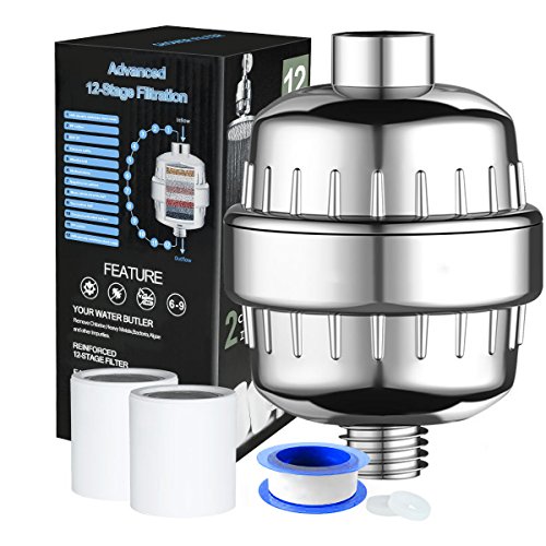 Best showerhead purifier list