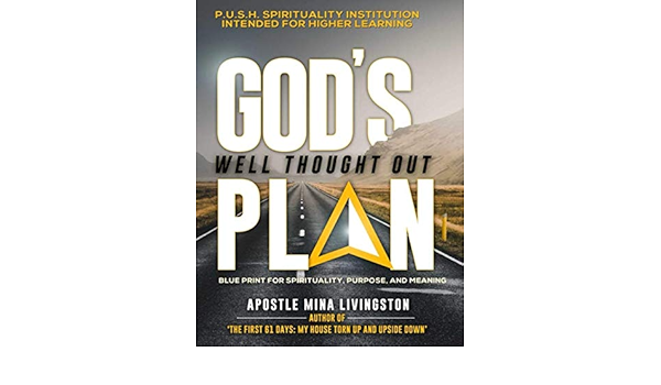 God S Well Thought Out Plan Blue Print For Spirituality Purpose And Meaning Livingston Mina 9781708448035 Amazon Com Books