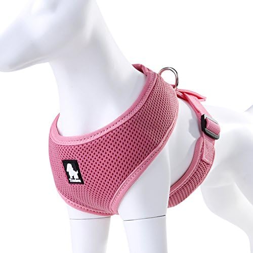 JUXZH Cat Pet Dog Harness Mesh Padded Nylon No Pull Soft Vest dog Harness For Small Medium Size puppy