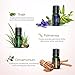 Anjou Essential Oils Set Top 9 Pack 100% Pure Aromatherapy Oil Kit, Include Lavender, Bergamot, Sage, Grapefruit, Palmarosa, Cinnamomum and More