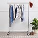 Amazon Basics Heavy Duty Steel Garment Rack on Wheels - Chrome