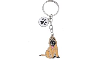 HDKUW Dog Keychain Gift,Large Dog Memorial Collar Charm for Birthday Holiday Gifts,Puppy Metal Pet ID Tags