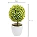 MyGift Tabletop Artificial Topiary Indoor Decor, Fake Plants Faux Yellow Boxwood Ball Tree with White Planter Pots, Set of 2