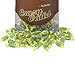 CrazyOutlet Pack - Jolly Rancher Green Apple Hard Candy, Bulk Pack, 2 lbs