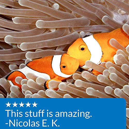 API MARINE QUICK START Saltwater And Reef Aquarium Nitrifying Bacteria